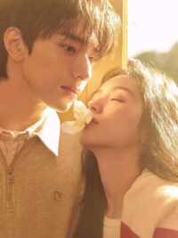 Ảnh bìa của Tình Yêu Mùa Hè