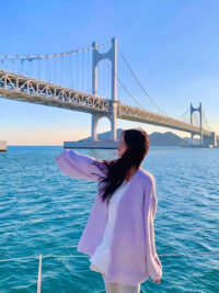 Ảnh bìa của Bạch Liên Hoa Mạnh Mẽ