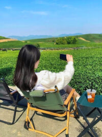 Ảnh bìa của Ký Ức Mất Đi