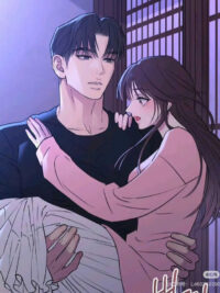 Ảnh bìa của Gặp Lại Người Thầm Mến Ngày Xưa