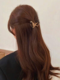 Ảnh bìa của Năm Năm Chờ Đợi