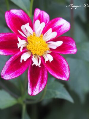 Ảnh bìa của Anh Em Tình Sâu