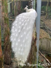 Ảnh bìa của Ba Người Đàn Ông