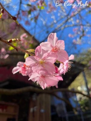 Ảnh bìa của Bí Mật Tầng 22