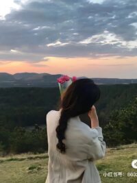 Ảnh bìa của Bông Hướng Dương Trở Về Với Mặt Trời