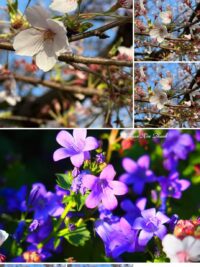 Ảnh bìa của Con Mắt Của Cha