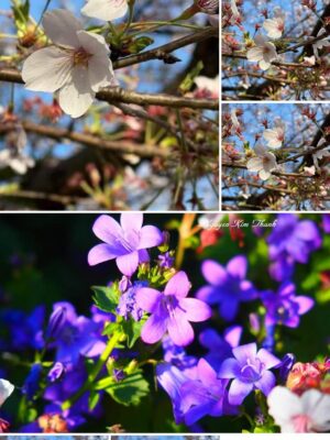 Ảnh bìa của Con Mắt Của Cha