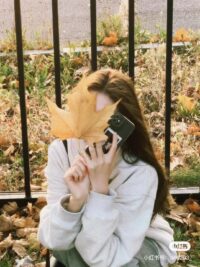 Ảnh bìa của Đi Câu Rể Giàu