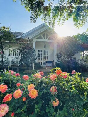 Ảnh bìa của Giá Như Tôi Chưa Sinh Ra Ở Đó