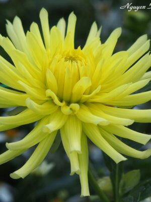 Ảnh bìa của Gương  Mặt Thật Sau Mác Nam Thần