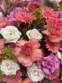 Ảnh bìa của Kết Duyên Cho Anh Và Thanh Mai