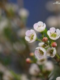 Ảnh bìa của Kết Thúc Có Hậu