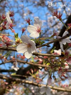 Ảnh bìa của Khi Người Ta Ăn Thứ Mình Ghét