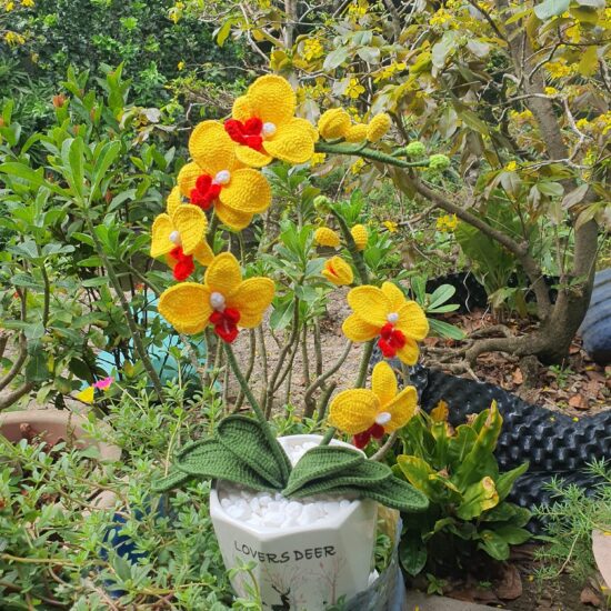 Ảnh bìa của Kim Chủ Truy Đuổi Vợ