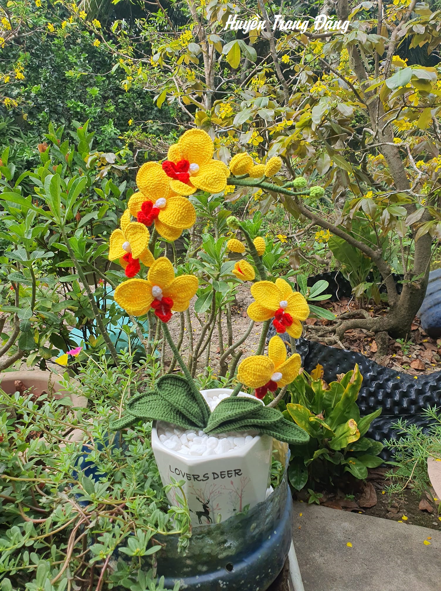 Kim Chủ Truy Đuổi Vợ