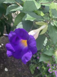 Ảnh bìa của Kỷ Đông