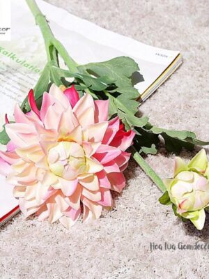 Ảnh bìa của Kỳ Tích Của Kẻ Ăn Mày