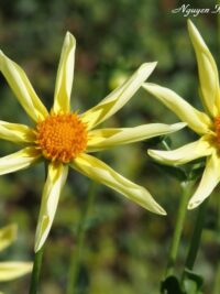 Ảnh bìa của Ngày Tôi Trả Cửa Hàng Về Vỏ Trống