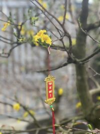 Ảnh bìa của Nỗi Đau Của Quá Khứ Full