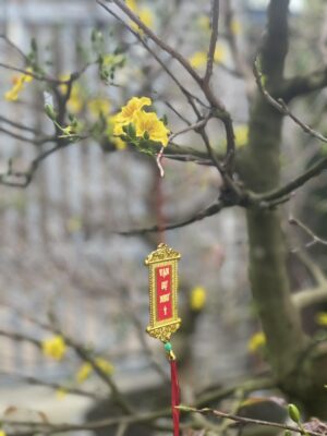 Ảnh bìa của Nỗi Đau Của Quá Khứ Full