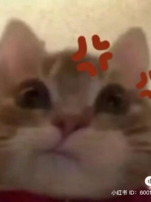 Ảnh bìa của Tái Sinh Dưới Ánh Nắng Maldives