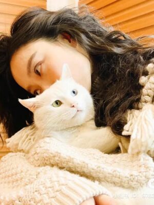 Ảnh bìa của Theo Đuổi 6 Năm Đổi Lại Được Tờ Đơn Lh Hôn