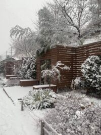 Ảnh bìa của Tình Yêu Và Vĩnh Hằng