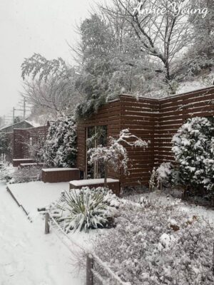 Ảnh bìa của Tình Yêu Và Vĩnh Hằng