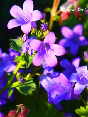 Ảnh bìa của Tôi Quyết Định Xóa Sổ Nam Nữ Chính