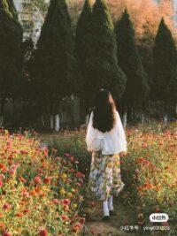 Ảnh bìa của Trà Xanh Hết Cơ Hội