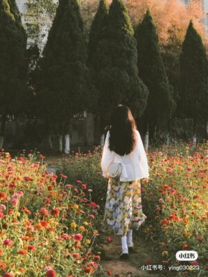 Ảnh bìa của Trà Xanh Hết Cơ Hội