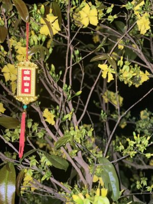 Ảnh bìa của Trái Tim Đứa Con Thừa